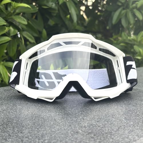 ZHAOSHIXU Motorradbrille Motocross-Brille, Motorrad-Sonnenbrille, Mann-Maske, winddichter Schutz, Skifahren, Radfahren, Rennen, Offroad-Brille(IOOXI17) von ZHAOSHIXU