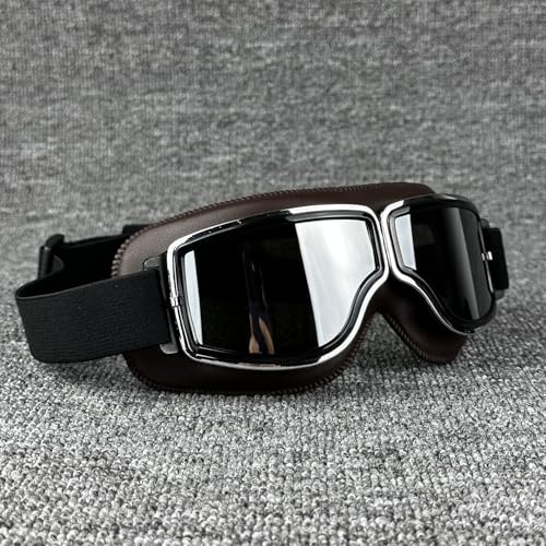 ZHAOSHIXU Motorradbrille Motorradbrillen Nebel-Beweis warme Brille Bike Motocross Brille Schutzbrille Ski(Coffee-Silver) von ZHAOSHIXU