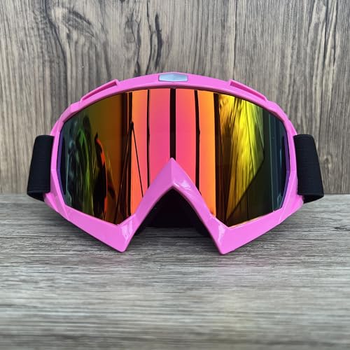 ZHAOSHIXU Motorradbrille Outdoor-Radfahren Offroad-Brille Motocross-Brille Motorradbrille Maske Abnehmbare Linsen Winddichter UV-Schutz(WJL210) von ZHAOSHIXU