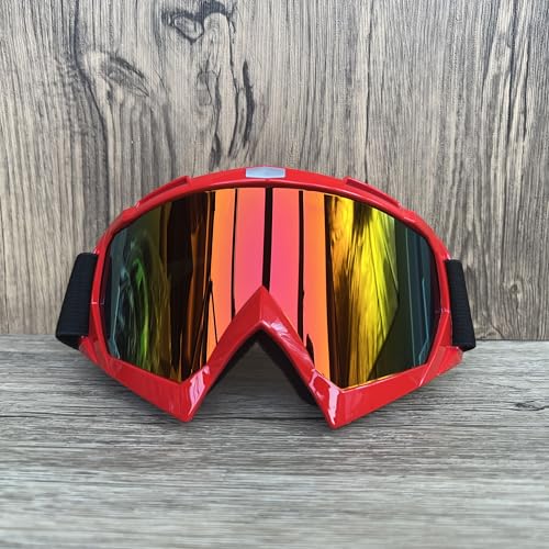 ZHAOSHIXU Motorradbrille Outdoor-Radfahren Offroad-Brille Motocross-Brille Motorradbrille Maske Abnehmbare Linsen Winddichter UV-Schutz(WJL216) von ZHAOSHIXU