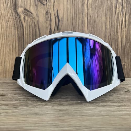 ZHAOSHIXU Motorradbrille Outdoor-Radfahren Offroad-Brille Motocross-Brille Motorradbrille Maske Abnehmbare Linsen Winddichter UV-Schutz(WJL220) von ZHAOSHIXU