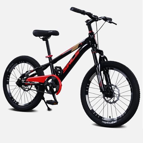 Mountainbike 24/22 Zoll Single Speed 38 mm Stoßdämpfer Vorne und Hochelastischer Verbreiterter Außenreifen Rahmen aus Kohlenstoffstahl Herren und Damen C,24 inches von ZHMQQDL