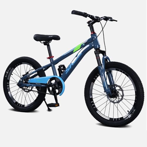 Mountainbike 24/22 Zoll Single Speed 38 mm Stoßdämpfer Vorne und Hochelastischer Verbreiterter Außenreifen Rahmen aus Kohlenstoffstahl Herren und Damen D,16 inches von ZHMQQDL