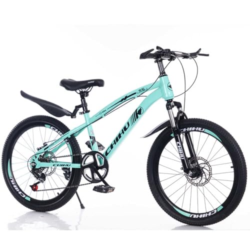 Mountainbike 24 Zoll Variable Geschwindigkeit Stoßdämpfung Doppelscheibenbremse Schüler Jungen und Mädchen Fahrrad G,24 inches von ZHMQQDL