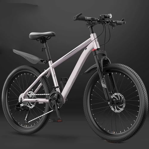 Mountainbike 26 Zoll 27 Gang Stahlrahmen Mit Speichenrad und Variabler Geschwindigkeit Stoßdämpfung Vorderradgabel Rennrad Männer und Frauen Geeignet Eine Körpergröße 140–190cm A,26 inches 27 Speed von ZHMQQDL