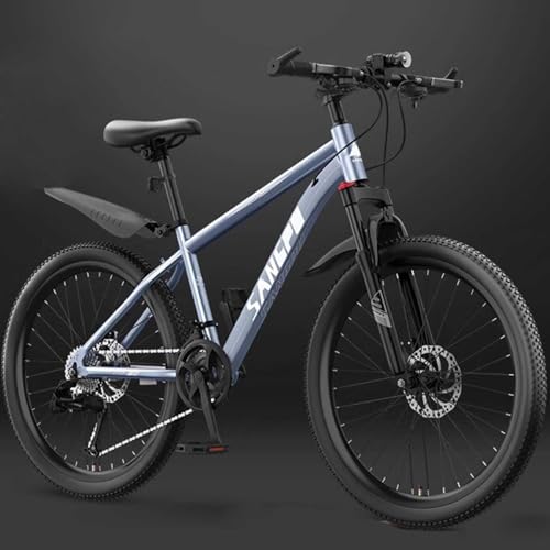 Mountainbike 26 Zoll 27 Gang Stahlrahmen Mit Speichenrad und Variabler Geschwindigkeit Stoßdämpfung Vorderradgabel Rennrad Männer und Frauen Geeignet Eine Körpergröße 140–190cm E,26 inches 24 Speed von ZHMQQDL