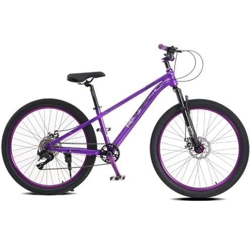 Mountainbike 26-Zoll-9 Gang Offroad Fahrrad aus Kohlenstoffstahl für Männer und Frauen Variable Geschwindigkeit Stoßdämpfendes Fahrrad für Erwachsene A von ZHMQQDL