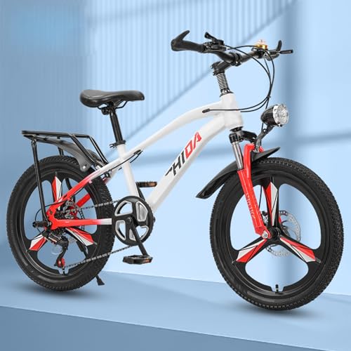 Mountainbike Magnesiumlegierung 6 Gang Integriertes Rad 22 Zoll Kinderfahrrad Scheibenbremse Stoßdämpfung Geeignet für Jugendliche A,20 inch von ZHMQQDL