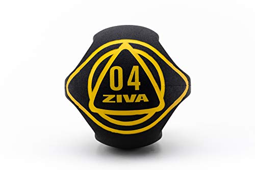 ZIVA Medizinball mit doppeltem Griff, 4 kg, Schwarz, 4kg von ZIVA