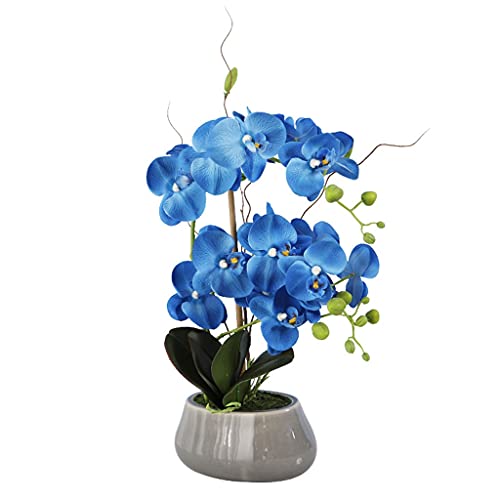 Künstliche Blume im Topf, künstliche Orchideenblüten mit Vase, künstliche Seidenblume, Phalaenopsis, Topfpflanze für Heimbüro-Dekoration, Hausdekoration, blaue Kunstpflanze, Blumenarrangement Bright von ZLSPON