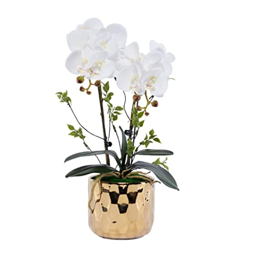 ZLSPON Künstliche Blume, Phalaenopsis, künstliche Blume mit goldenem Keramik-Blumentopf, künstliche Blume für Familien-Hochzeitstisch, Kunststoff-Blumen-Mittelstück, Zuhause Bright Day von ZLSPON