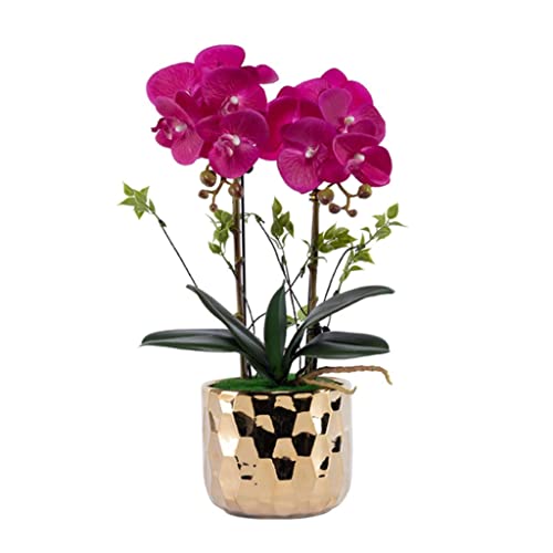 ZLSPON Künstliche Blume, Phalaenopsis, künstliche Blume mit goldenem Keramik-Blumentopf, künstliche Blume für Familien-Hochzeitstisch, Kunststoff-Blumen-Mittelstück, Zuhause Bright Day von ZLSPON