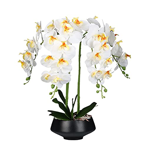 ZLSPON Künstliche Blume im Topf, künstliche Phalaenopsis-Orchideenpflanze, weiße Kunstblume mit schwarzem Blumentopf, für Zuhause, Tisch, Büro, Blumendekoration Bright Day von ZLSPON