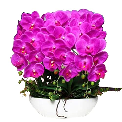 ZLSPON Künstliche Blumen zur Dekoration, künstliche Blume, Phalaenopsis-Blume, künstliches Schmetterlings-Orchideen-Blumen-Set mit Keramiktopf für Wohnzimmer-Dekoration Bright Day von ZLSPON