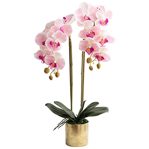 ZLSPON Künstliche Orchideen-Blumen, künstliche Phalaenopsis-Blumen, Orchideen, künstliche Blumen, Party, Hochzeit, Weihnachtsdekoration, künstliche Blumen, natürlich Bright Day von ZLSPON