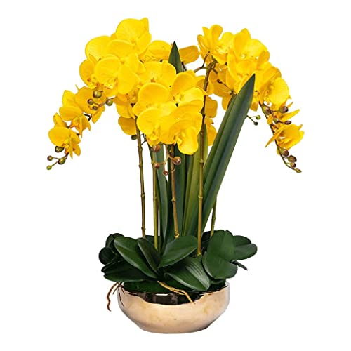 ZLSPON Künstliche Orchideenblumen, 8 Köpfe, künstliche Phalaenopsis-Blumen, Topforchideen, künstliche Pflanzen, künstliche Orchideen, Klassische künstliche Blumen, natürlich Bright Day von ZLSPON