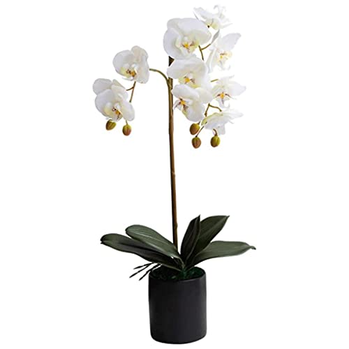 ZLSPON Künstliche Orchideenblumen im Topf, künstliche Orchideen, lebensechte Herzstücke, künstliche Phalaenopsis-Blumen für Zuhause, Wohnzimmer, Büro, künstliche Blumen, Nat Bright Day von ZLSPON