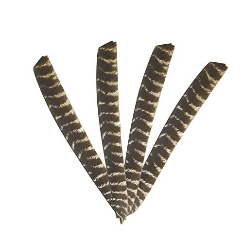 ZSHJG 30pcs Naturfedern für Pfeile Volle Länge Truthahnfedern Spiralwickel Pfeilfedern Türkei Pfeile Fletching Linker Flügel für DIY Pfeile Carbonpfeile ZSHJG 30pcs Naturfedern für Pfeile Volle Länge Truthahnfedern Spiralwickel Pfeilfedern Türkei Pfeile Fletching Linker Flügel für DIY Pfeile Carbonpfeile von ZSHJGJR