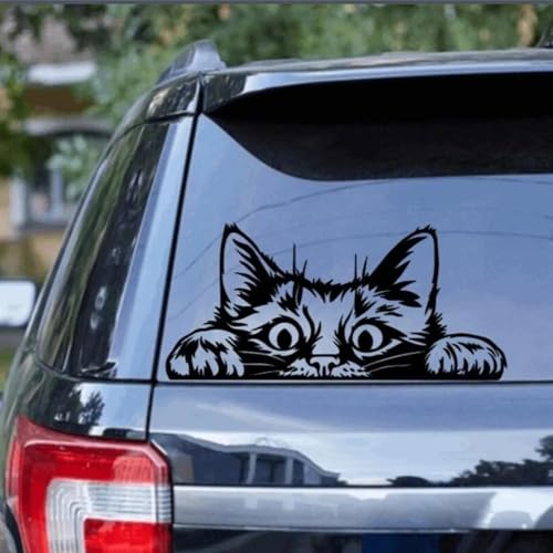 ZWRKB Cartoon Katze Aussichtspunkt Auto Aufkleber Haustier Auto Windschutzscheibe Stoßstange Pickup Heckklappe Off Road Vinyl Truck Dekor von ZWRKB