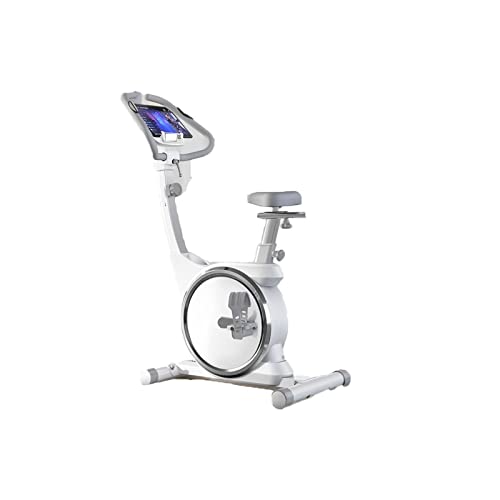 ZXSXDSAX Heimtrainer Fitness Bike Spinning Home Exercise Weight Loss Small Equipment Indoor Ultra Quiet Upright Scroll Wheel(White) von ZXSXDSAX