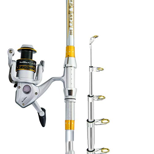 Angelrute Sea Pole Long Shot Sea Pole Super Hard Cast Rod Set Full Set of Fishing Gear Teleskop Angelrute Angelrute/Angelruten (Größe: 3,0 Meter) () von ZZXGIUFJGIRUJGR