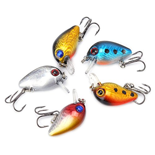 Zerone 5 Stücke 3 cm Fischköder Augen Set 3D Sticky Holographische Angelköder CrankBaits Künstliche Micro Hard Durable Köder mit Höhen Haken Köder Zerone 5 Stücke 3 cm Fischköder Augen Set 3D Sticky Holographische Angelköder CrankBaits Künstliche Micro Hard Durable Köder mit Höhen Haken Köder von Zerone