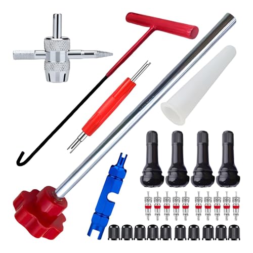 Valve Stem Tool Kit | Tire Valve Installer Tool Set | 30Pieces Tire Installer Tool Valve Remover Tool | Tire Remover Tool Valve 30Pieces Installer Tool | Quick Change Car Tire for Motorcycle & Car von Ziabxhn