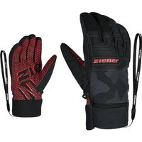 ZIENER Herren Handschuhe GARIM AS(R) glove ski alpine von Ziener