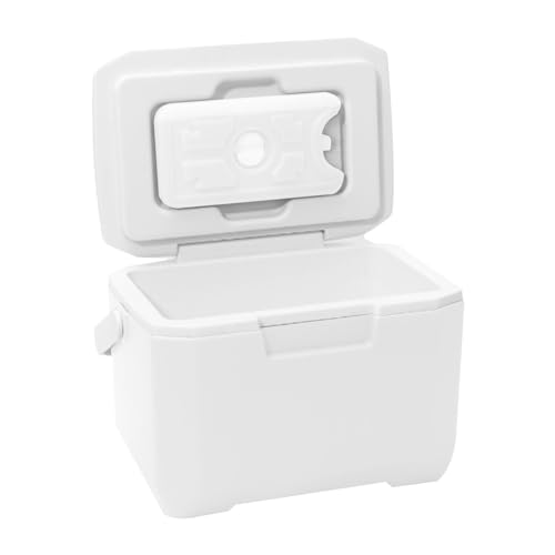 ZIENNHU Kühlbox, fester Kühlbehälter, für den Außenbereich, isoliert, mit Eis, 6 l, für Strand, mit Griff, Thermobox für Lebensmittel und Getränke von Ziennhu