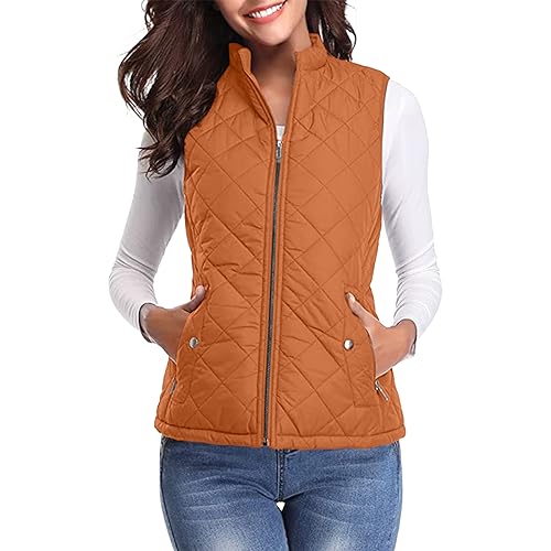 Warehouse Deal, Fellweste Damen Flauschige Teddy Weste - Fleeceweste Ärmellose Teddywesten Fur Frauen Plüsch Casual Übergangsjacke Mantel Leicht Thermoweste Plüschweste von Zilosconcy