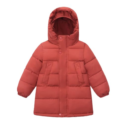 Winterjacke Mädchen 98, Steppjacke Mädchen Jungen Outdoor Winterjacke - Kapuzenjacke Mit Kapuze Baby Jacke Übergangsjacke Kinder Gefüttert Puffer Niedlich Plüsch Baumwolljacke von Zilosconcy