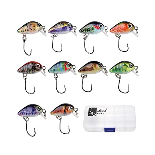 Zite Fishing Mini-Wobbler Set - 10 Ultra-Light Kunst-Köder Box Forelle Barsch - Einzelhaken Forellenwobbler 2,9cm 1,8g Zite Fishing Mini-Wobbler Set - 10 Ultra-Light Kunst-Köder Box Forelle Barsch - Einzelhaken Forellenwobbler 2,9cm 1,8g von Zite