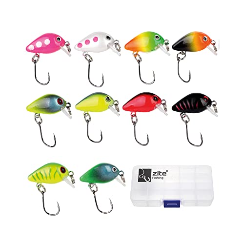 Zite Fishing Mini-Wobbler Set Neon - 10 Ultra-Light Kunst-Köder Box - Einzelhaken Barsch Forellen-Wobbler 2,8cm Zite Fishing Mini-Wobbler Set Neon - 10 Ultra-Light Kunst-Köder Box - Einzelhaken Barsch Forellen-Wobbler 2,8cm von Zite