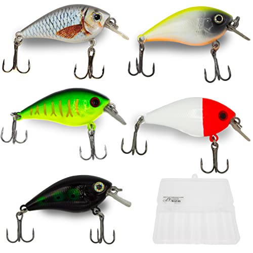 Zite Fishing Wobbler-Set - 5 Crank-Bait Kunst-Köder Barsch Hecht Zander 7g 5,5cm mit Rassel-Kugel in Köder-Box von Zite