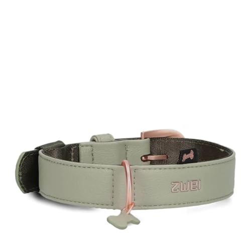 ZWEI Hundehalsband Leo LE15 aus hochwertigem Kunstleder, Elegantes Halsband verstellbar für mittelgroße & große Hunde mit Halsumfang von 37-50 cm (Jade) ZWEI Hundehalsband Leo LE15 aus hochwertigem Kunstleder, Elegantes Halsband verstellbar für mittelgroße & große Hunde mit Halsumfang von 37-50 cm (Jade) von Zwei