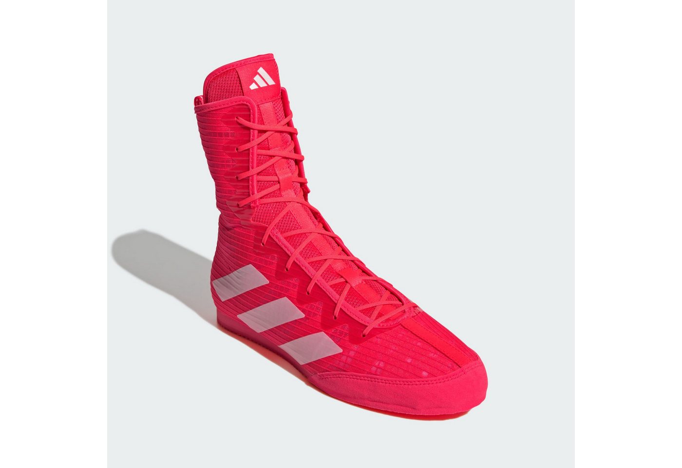 adidas Performance BOX HOG 4 BOXSCHUH Boxschuh von adidas Performance