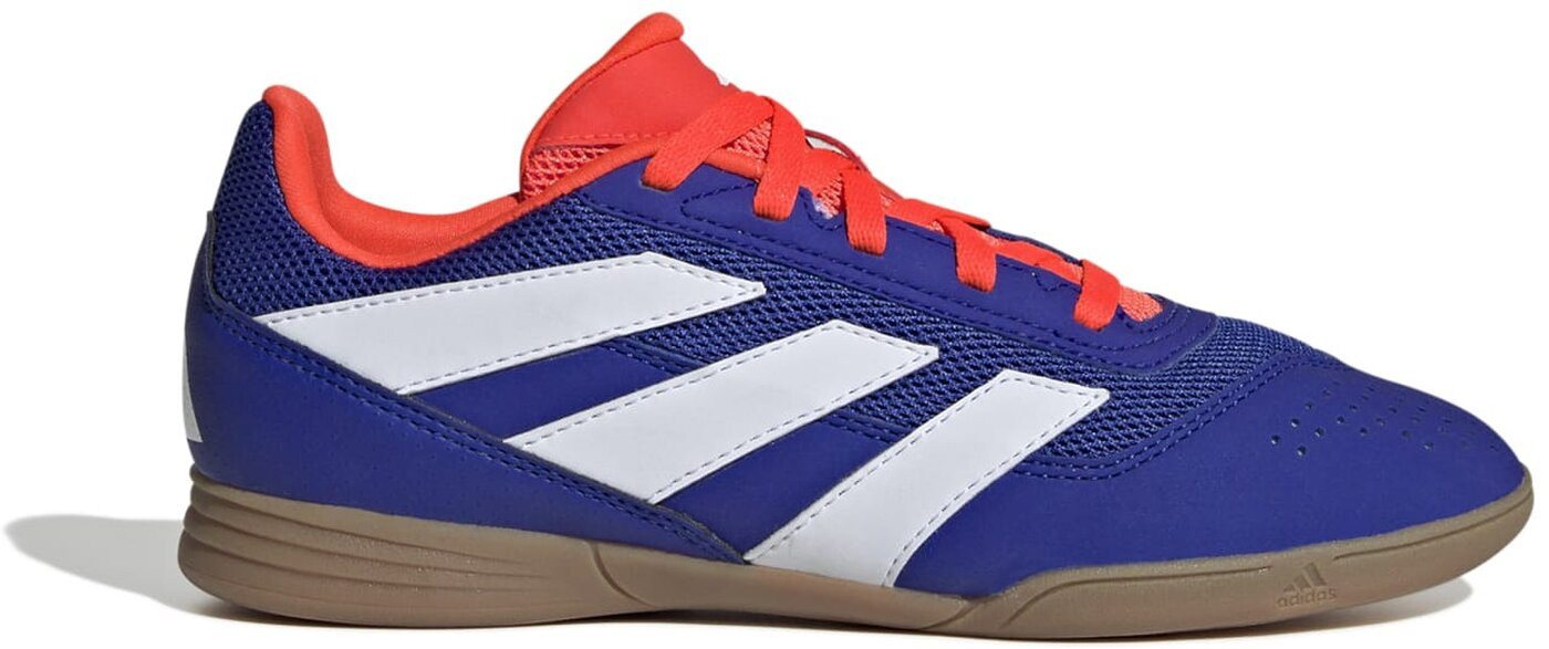 adidas Performance PREDATOR CLUB IN SALA J FTWWHT/LUCBLU/SOLRED Fußballschuh adidas Performance PREDATOR CLUB IN SALA J FTWWHT/LUCBLU/SOLRED Fußballschuh von adidas Performance