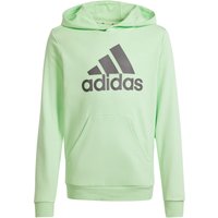 adidas Big Logo Essentials Cotton Hoodie Kinder AF4B - segrsp/chacoa 140 von adidas Sportswear