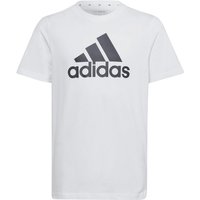 adidas Essentials Big Logo Cotton T-Shirt Kinder 001A - white/black 140 von adidas Sportswear