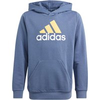 adidas Essentials Two-Colored Big Logo Cotton Hoodie Kinder AF4L - prloin/semspa/white 128 von adidas Sportswear