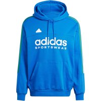 adidas Sportswear House of Tiro Nations Pack Hoodie Herren IY4532 - blue/green/white/red M von adidas Sportswear