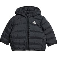 adidas Sportswear Synthetic Down Daunenjacke Kinder IX3302 - black/black/black 86 von adidas Sportswear