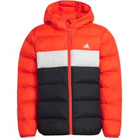 adidas Sportswear Synthetic Down Daunenjacke Kinder A0TB - brired/greone/black 176 von adidas Sportswear