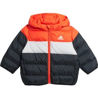 adidas Sportswear Synthetic Down Daunenjacke Kinder A0TB - brired/greone/black 86 von adidas Sportswear