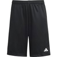 adidas Sportswear Train Essentials Logo Regular Fit Trainingsshorts Kinder IV9578 - black/white 116 von adidas Sportswear