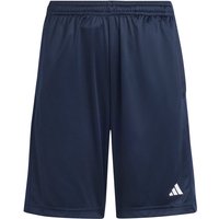 adidas Sportswear Train Essentials Logo Regular Fit Trainingsshorts Kinder AA35 - legink/white 116 von adidas Sportswear