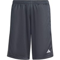 adidas Sportswear Train Essentials Logo Regular Fit Trainingsshorts Kinder IW0848 - grey six/white 152 von adidas Sportswear