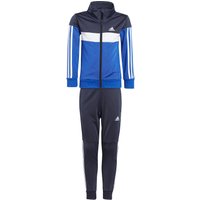 adidas Tiberio 3-Streifen Colorblock Shiny Trainingsanzug Kinder AA35 - legink/white/selubl 104 von adidas Sportswear