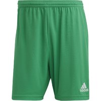 adidas Entrada 22 Fußball Shorts Kinder IC7410 - team green 176 von adidas performance