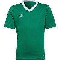 adidas Entrada 22 Trikot Kinder ADCZ - teagrn/white 176 von adidas performance